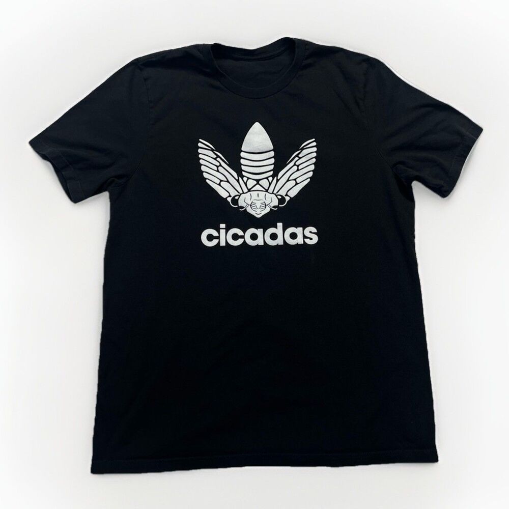 Cicadas Graphic T Shirt Mens Large Black Entomophiles Insect Tee No Tag‎ Nature